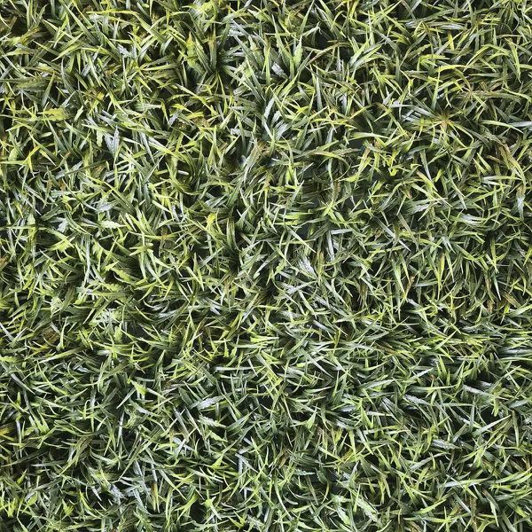 TAPETE GRAMA ARTIFICIAL 40X60 CM