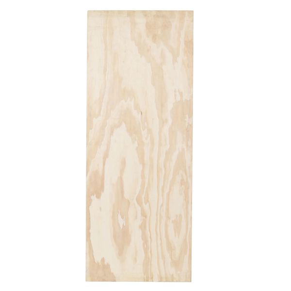 PORTA LISA PINTURA 210X60CM 