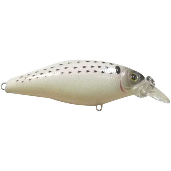 Isca Marine Sports Shiner King 70