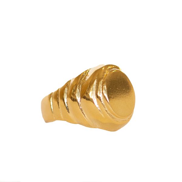 Anel Dedinho Zie- banho ouro 18k - FOLIATE