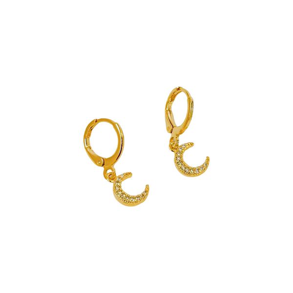 Argola Moon- banho ouro 18k - FOLIATE