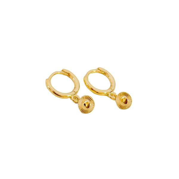 Argola Lia- banho ouro 18k - FOLIATE