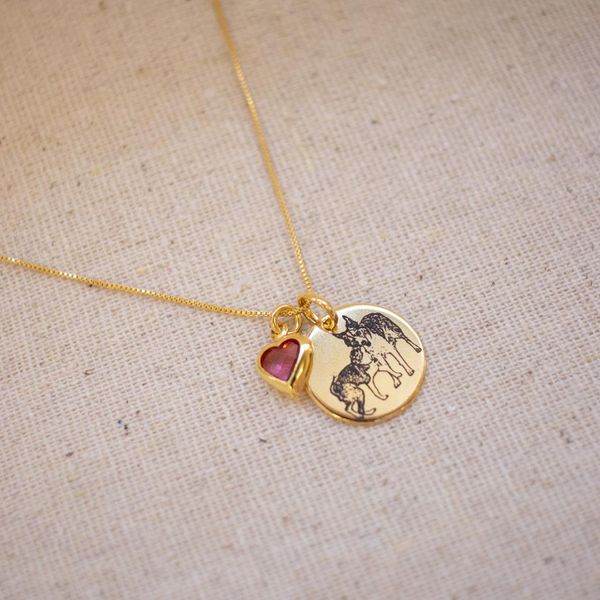 Colar Medalha P + coração- banho ouro 18k - FOLIATE