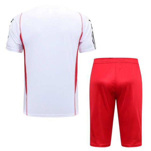 Conjunto De Treino Meia Cal a Camisa Internacional 23 24