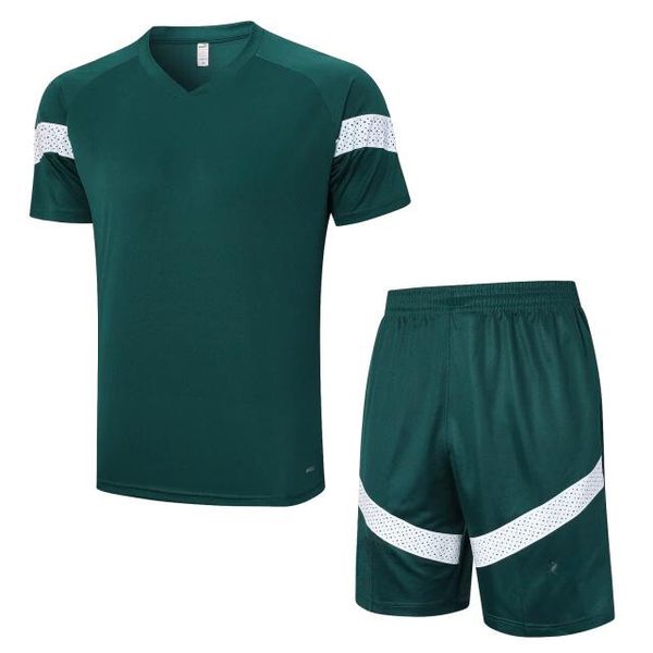 Conjunto Treino Camisa + Short Palmeiras 23/24 - Verde