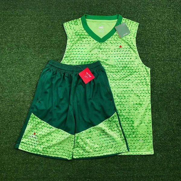 Conjunto Treino Regata + Short Palmeiras 24/25 - Verde
