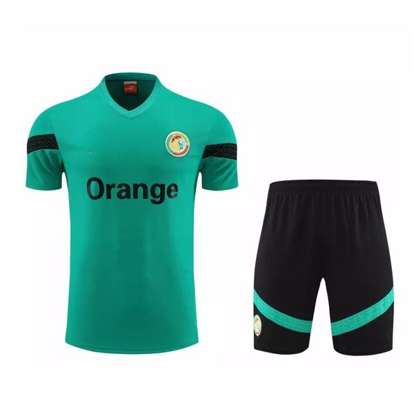 Conjunto de treino Camisa + Short Senegal 23/24 - Masculino