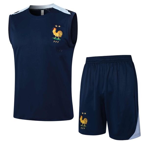 Conjunto Treino Seleção França 24/25 Regata + Short - Azul Marinho