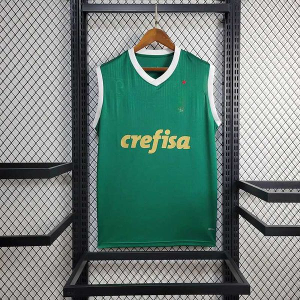 Regata Palmeiras Home I 24/25 - Verde