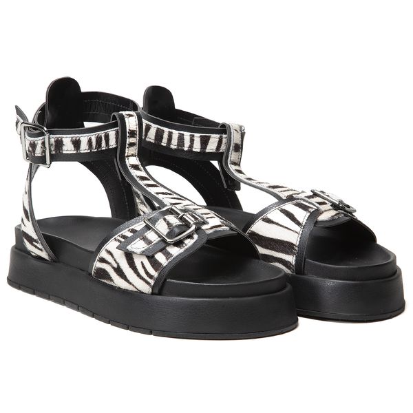 Sandália Feminina Plataforma Flatform Animal Print - Zebra