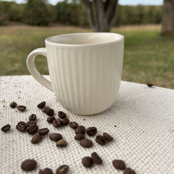 Caneca porcelana Off 