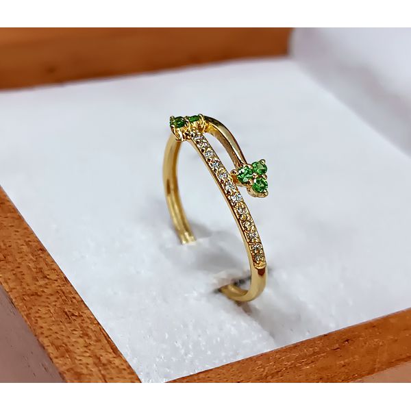Anel em Ouro 18K 