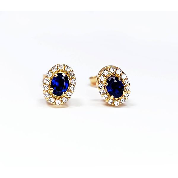 Brinco em Ouro Oval Borda com Pedras