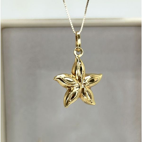 Pingente 18k Estrela do Mar Polida