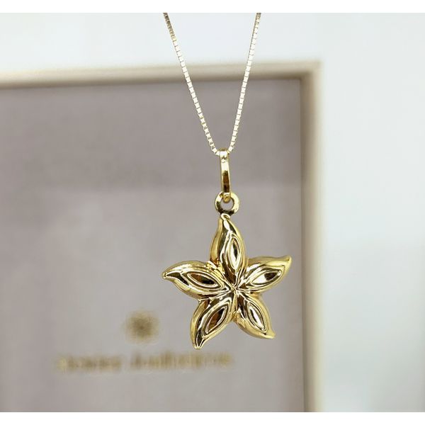 Pingente 18k Estrela do Mar Polida