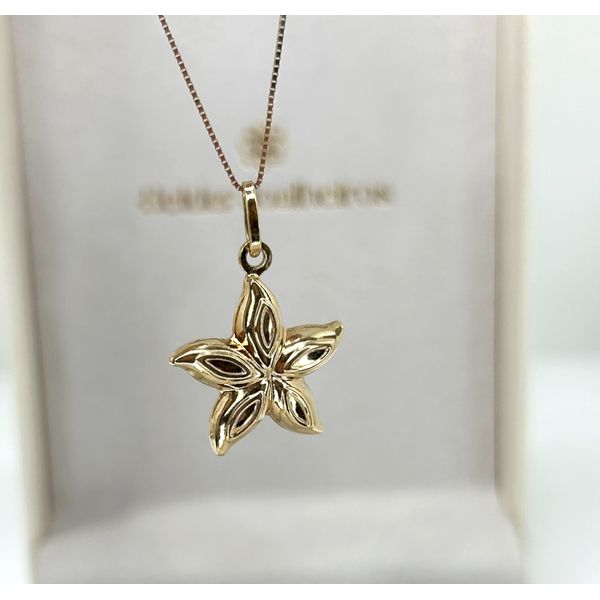 Pingente 18k Estrela do Mar Polida