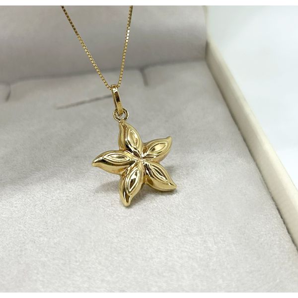 Pingente 18k Estrela do Mar Polida