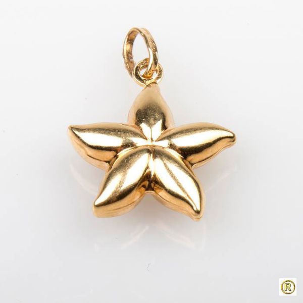 Pingente 18k Estrela do Mar Polida