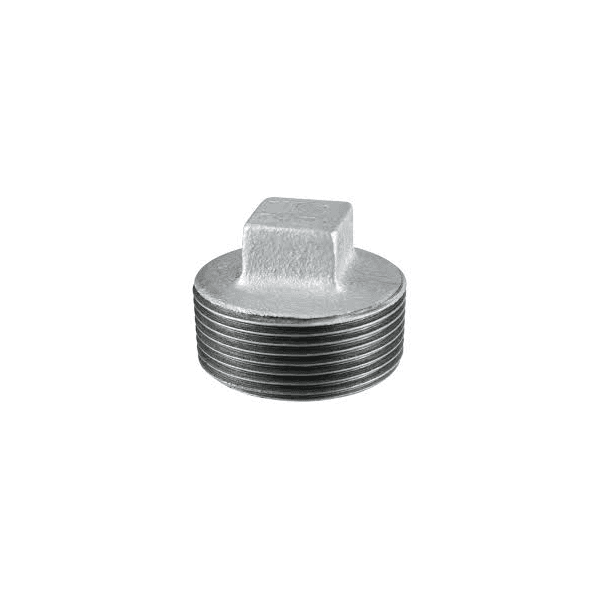 Plug Galvanizado 1/2