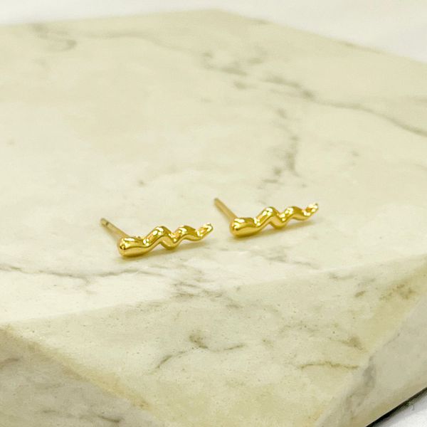 Brinco Snake Folheado em Ouro 18k