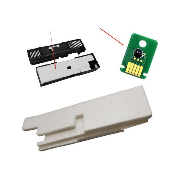 Almofada Esponja + Chip Caixa Manutenção Para Canon Gx5010