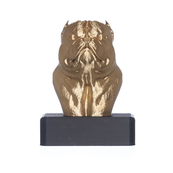 TROFÉU IDR EXOTIC - OURO