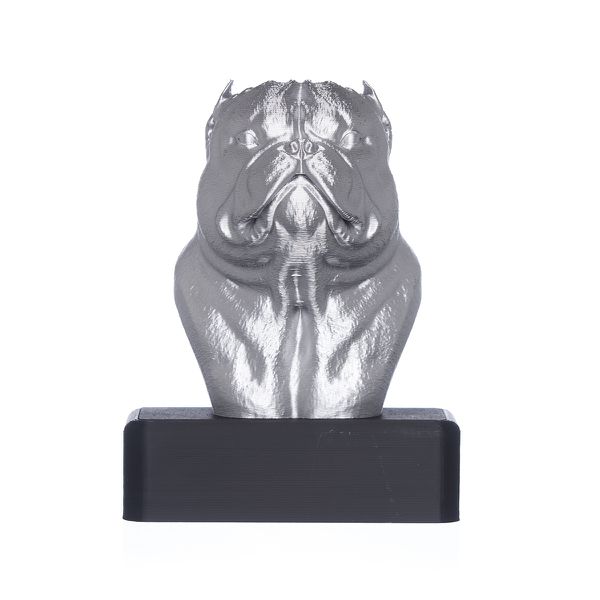 TROFÉU IDR EXOTIC - PRATA