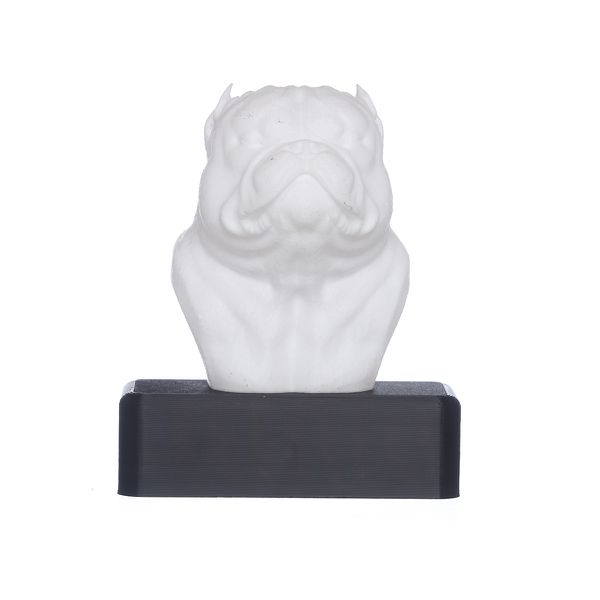 TROFÉU IDR EXOTIC - BRANCO
