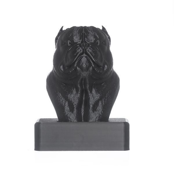 TROFÉU IDR EXOTIC - PRETO