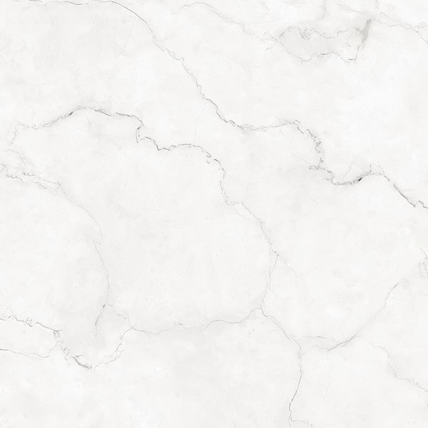 PORCELANATO MAESTRO BLANC POLIDO 61X120 DAMME