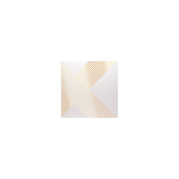 CEUSA GOLD LINE BK MIX MLX 20X20