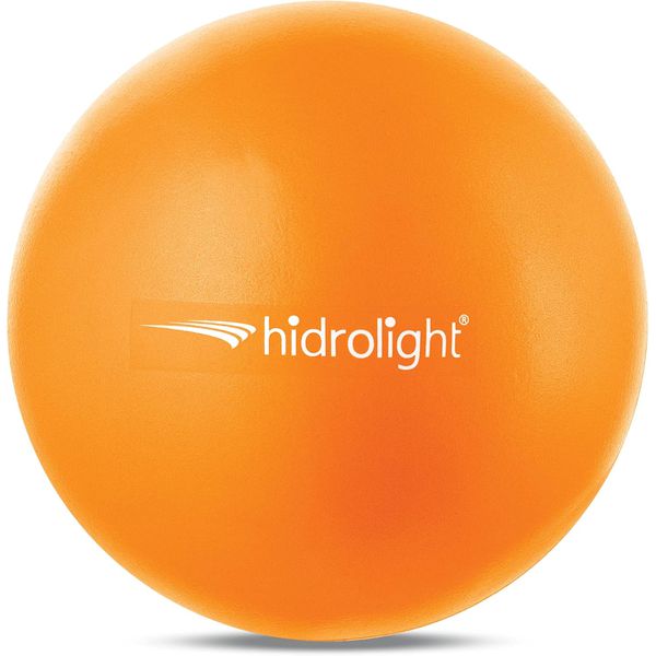 Bola Fisioterapia 20cm com Bomba Pilates Exercicios Ginastica Yoga Hidrolight