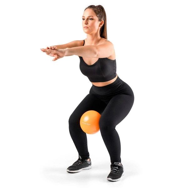 Bola Exercicios 20cm Ginastica Pilates Fisioterapia Yoga c/ Bomba