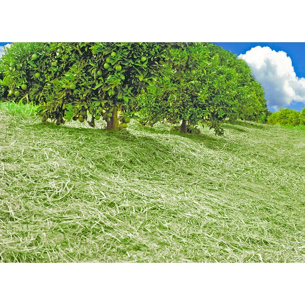 ROÇADEIRA NINJA Eco 260 Cruiser | KAMAQ