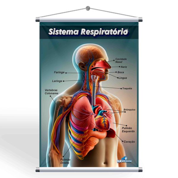 Aprenda sobre o sistema respiratório de forma clara e visual com o Banner Pedagógico! 