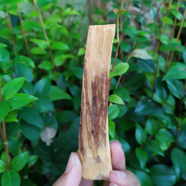 PALO SANTO IN NATURA INCENSO - LIMPEZA ENERGÉTICA