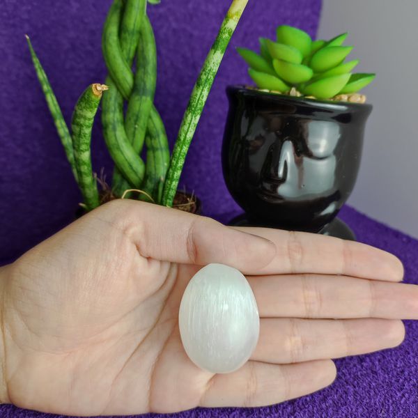 Yalangoch Anfisa Chexova va uning fotosuratlari