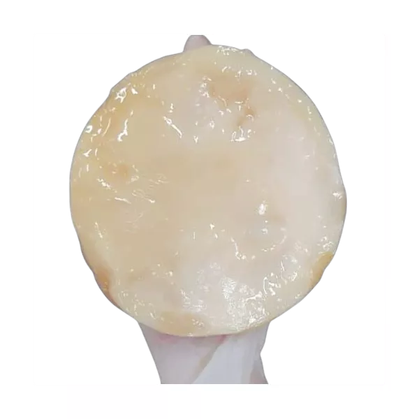 Scoby Premium Kombucha Starter Com Manual De Cultivo Kulti