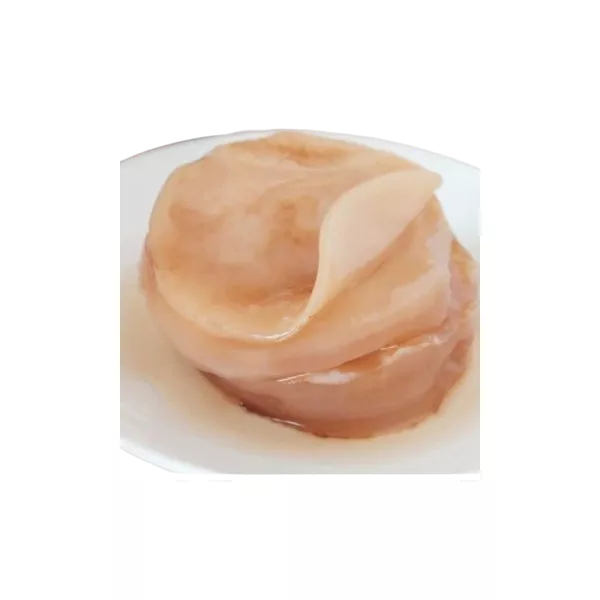 Scoby Premium Kombucha Starter Com Manual De Cultivo Kulti