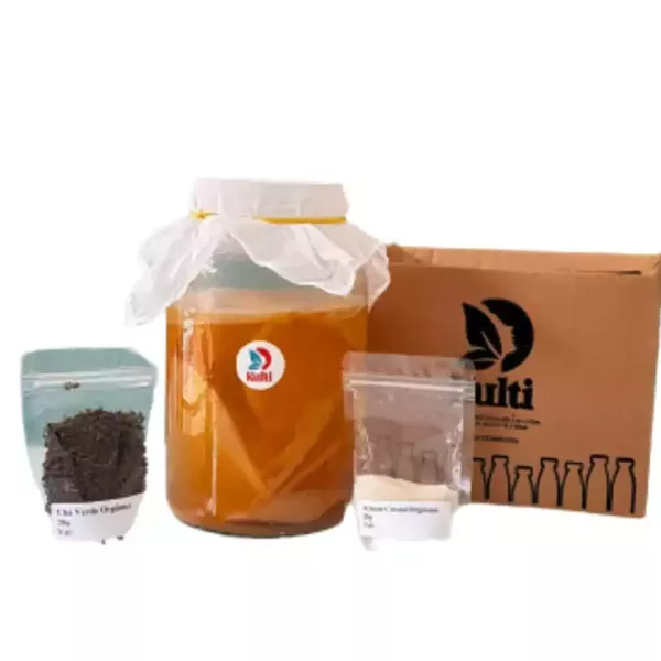 Scoby Premium Kombucha Starter KIT Completo Kulti