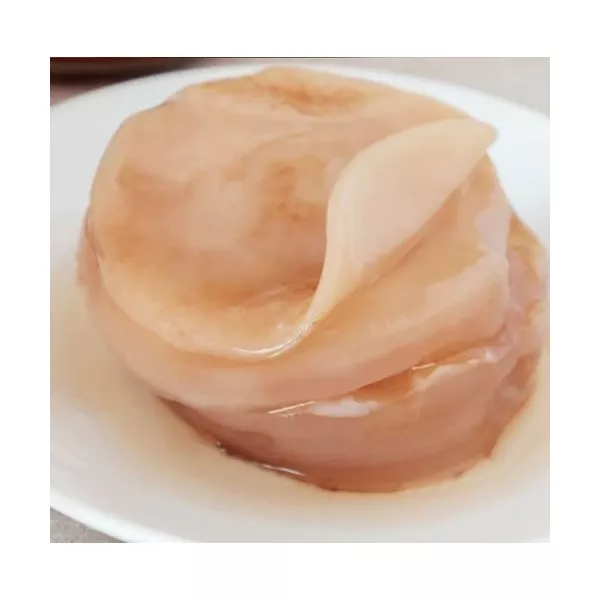 Scoby Premium Kombucha Starter KIT Completo Kulti