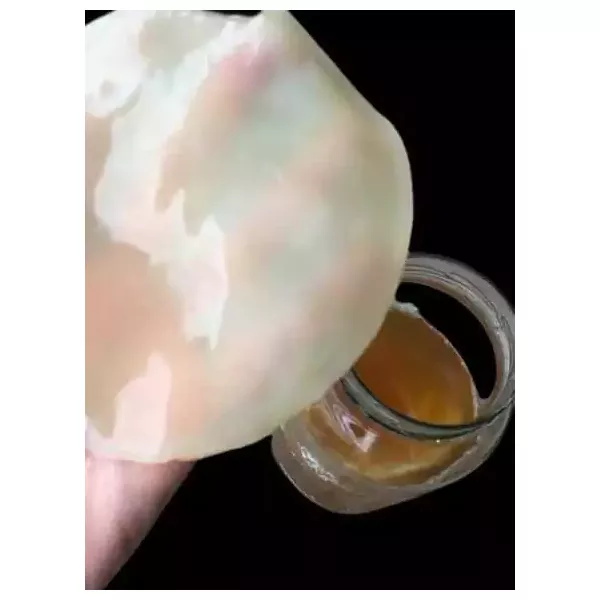Scoby Premium Kombucha Starter KIT Completo Kulti
