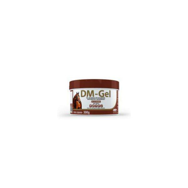 DM GEL 300 G