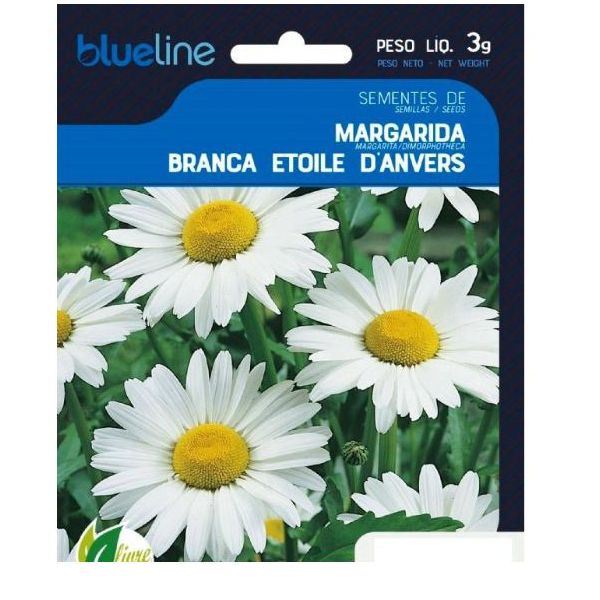 FLORES MARGARIDA BRANCA 3G