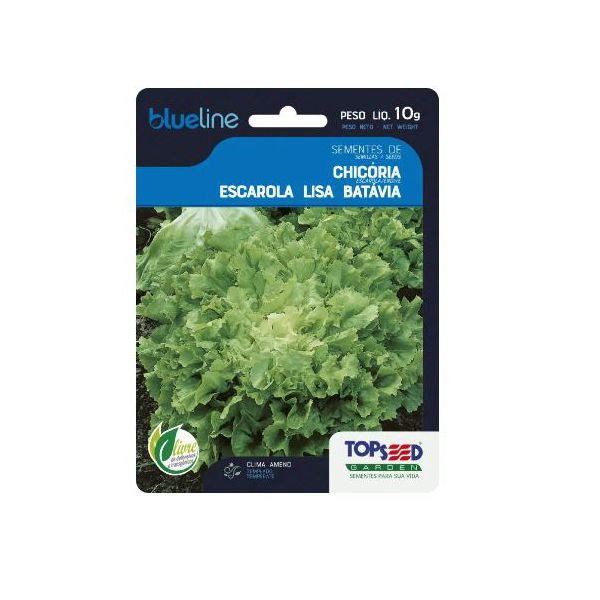 HORTALICA SEMENTE BLUELINE CHICORIA ESCAROLA 10G