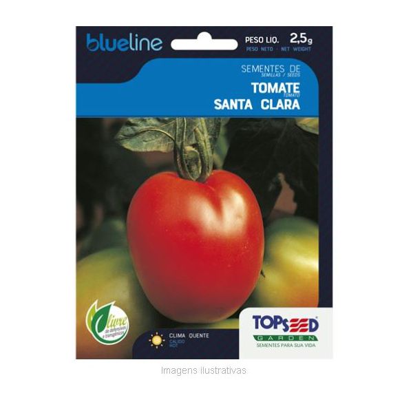 HORTALICA SEMENTE BLUELINE TOMATE SANTA CLARA 2,5G