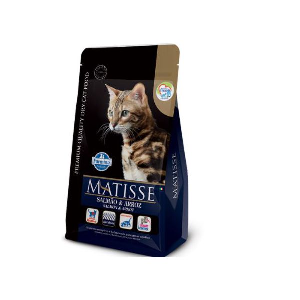 RACAO GATO MATISSE 2 KG SALMAO