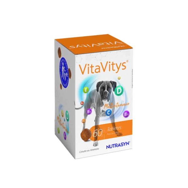 VITAVITYS 60 TABS MULTIVITAMINICO