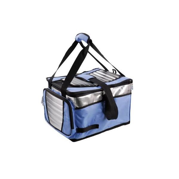 BOLSA TERMICA COOLER MOR 36L 03622