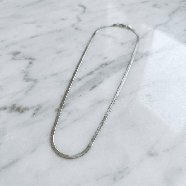 Colar Snake Minimalista em Aço Inox Prata